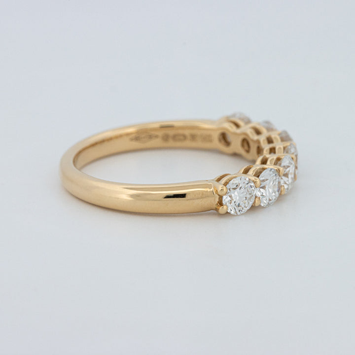 "Sparky" Eternity Ring (LG)