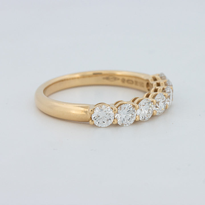 "Sparky" Eternity Ring (LG)