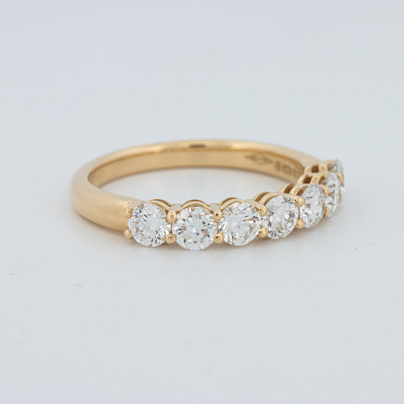 "Sparky" Eternity Ring (LG)