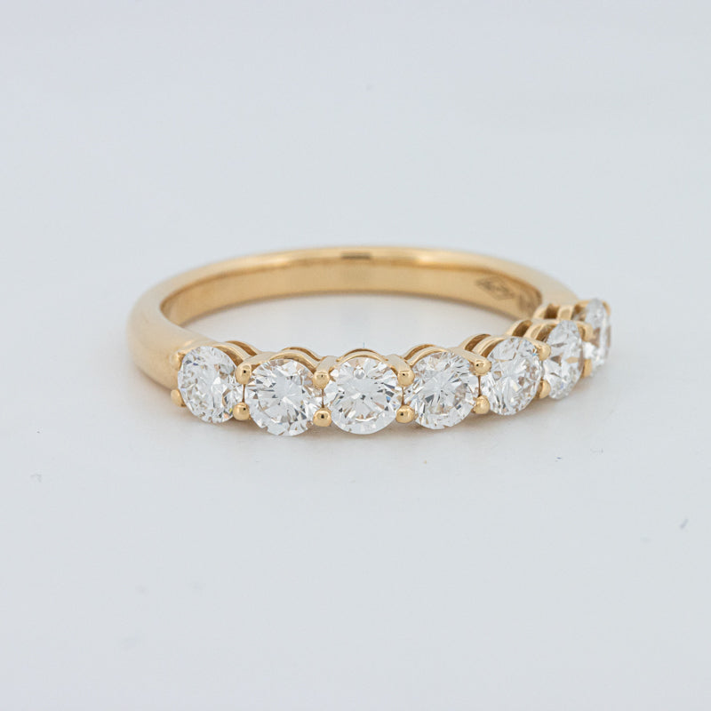 "Sparky" Eternity Ring (LG)