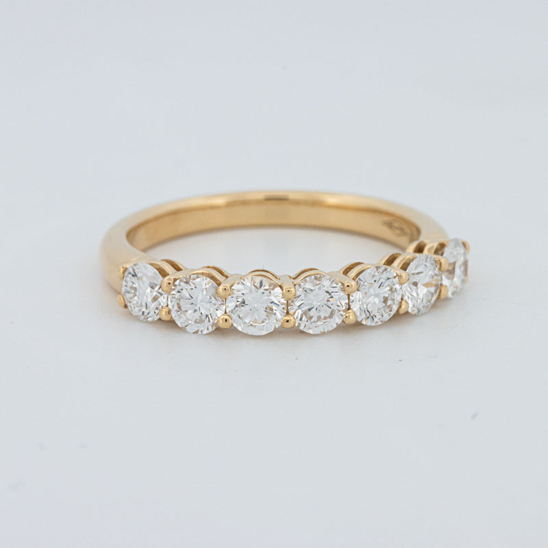 "Sparky" Eternity Ring (LG)