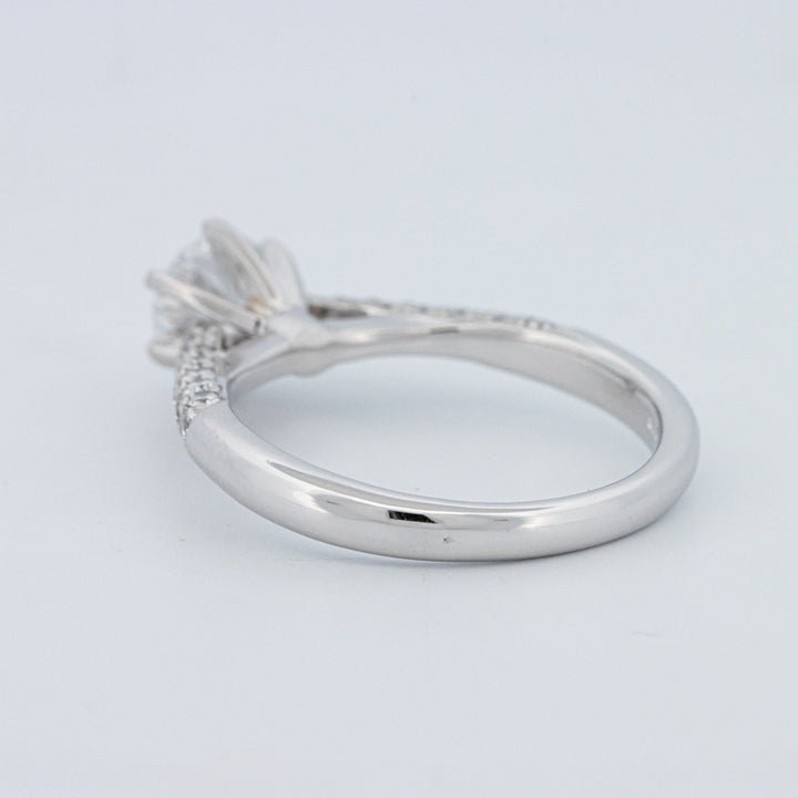 Round Cut Pavé Solitaire (LG)