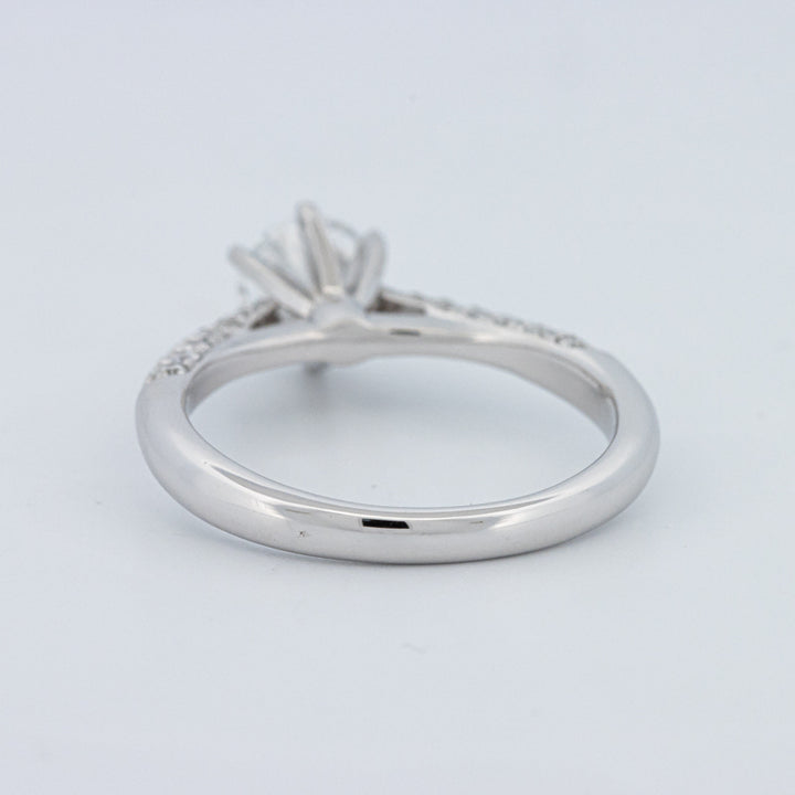 Round Cut Pavé Solitaire (LG)