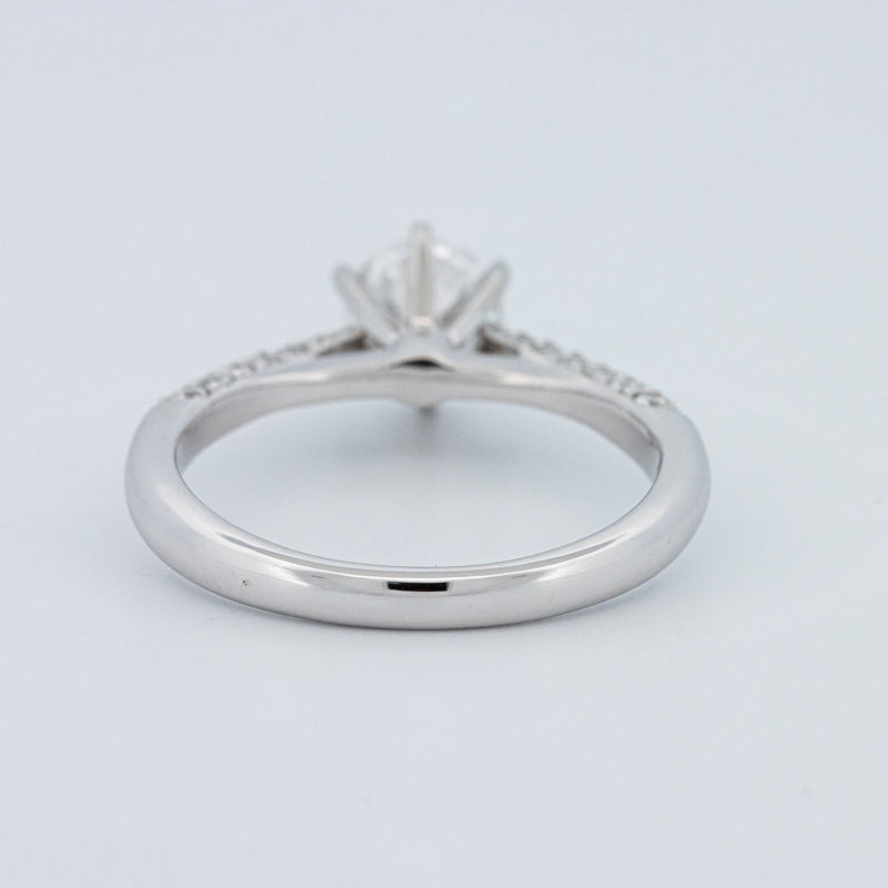 Round Cut Pavé Solitaire (LG)