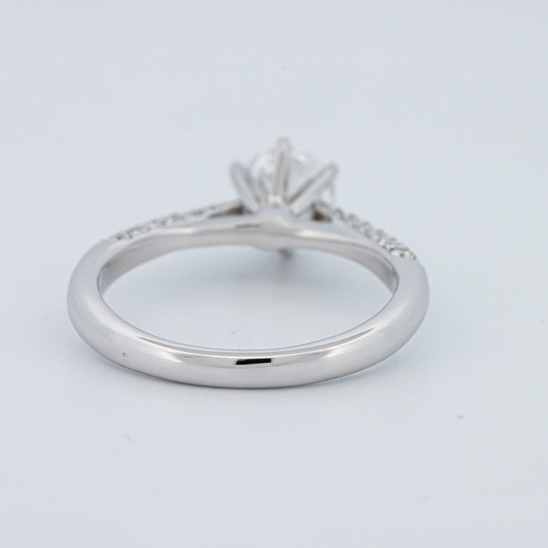 Round Cut Pavé Solitaire (LG)