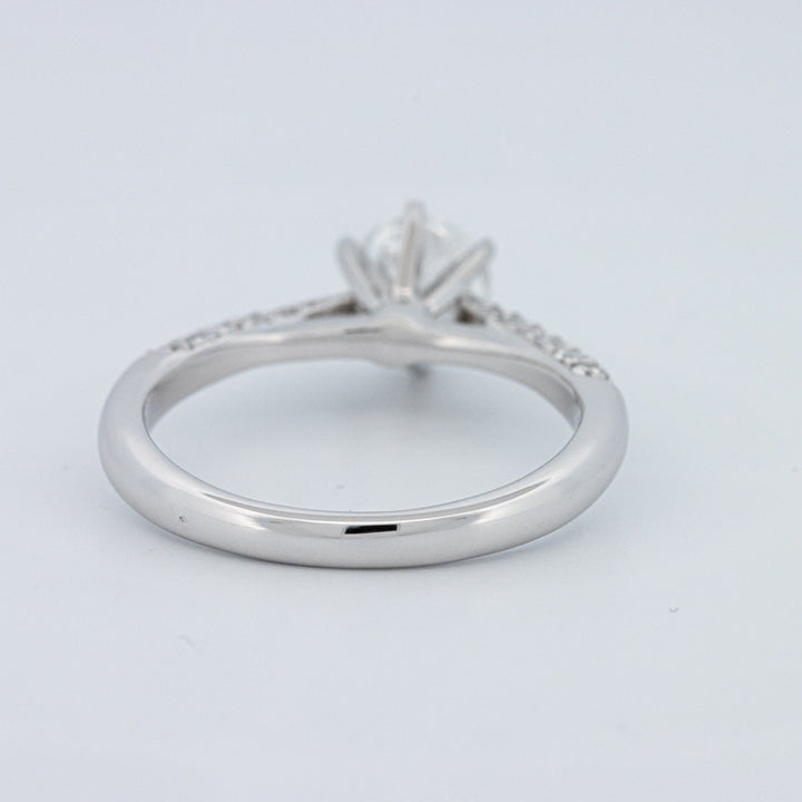 Round Cut Pavé Solitaire (LG)