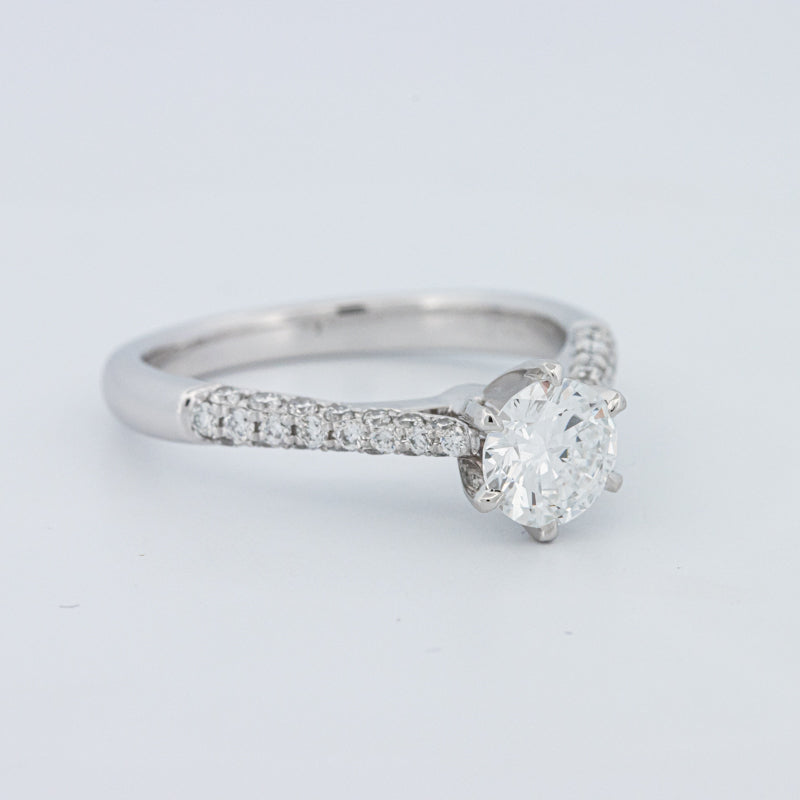 Round Cut Pavé Solitaire (LG)