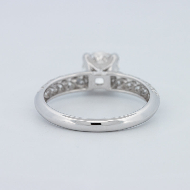 Round Cut Pavé Solitaire (LG)