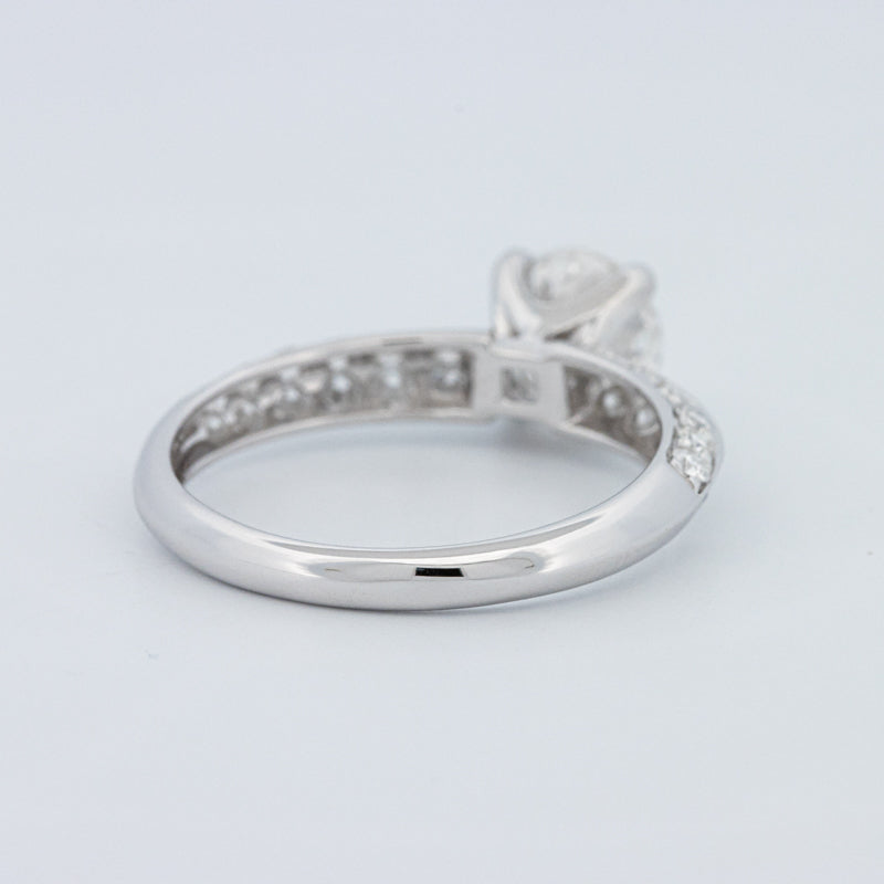 Round Cut Pavé Solitaire (LG)