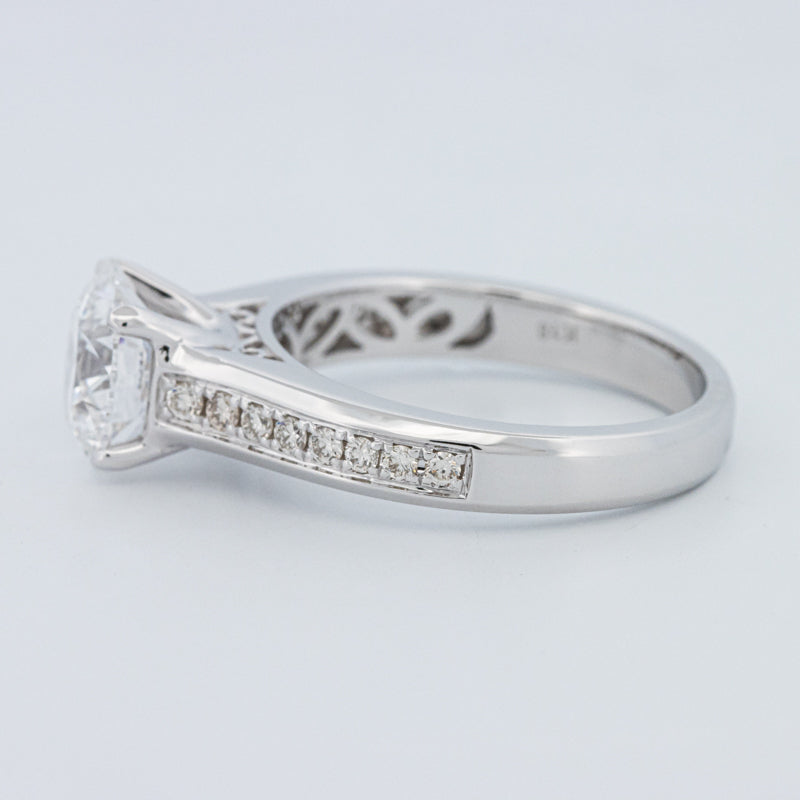 Round Cut Pavé Solitaire (LG)