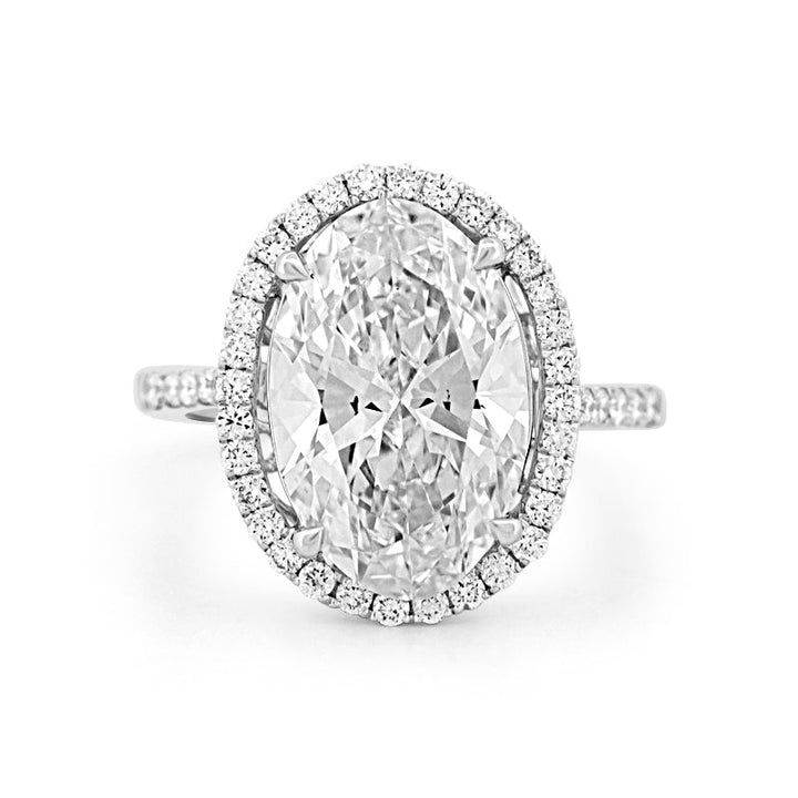 "Te Amo" Halo Solitaire (LG) - ZIZOV DIAMONDS