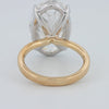 The “Adela” Solitaire (LG) - ZIZOV DIAMONDS