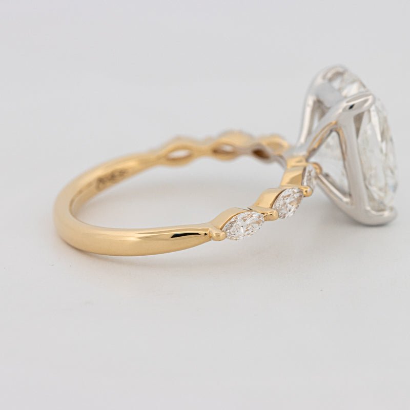 The "Anaïs" Solitaire (LG) - ZIZOV DIAMONDS