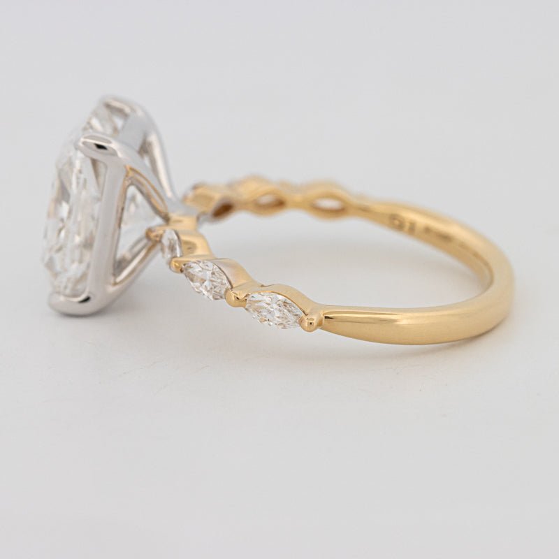 The "Anaïs" Solitaire (LG) - ZIZOV DIAMONDS