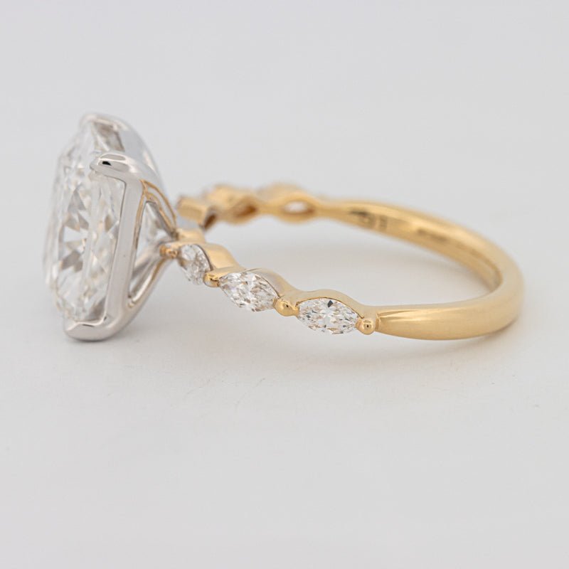 The "Anaïs" Solitaire (LG) - ZIZOV DIAMONDS