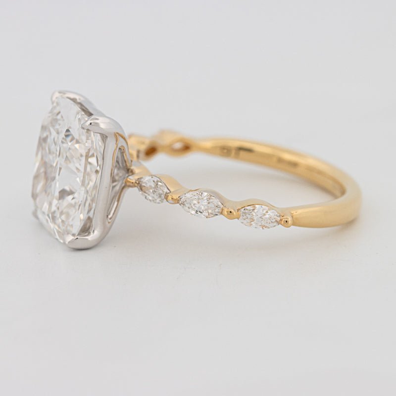 The "Anaïs" Solitaire (LG) - ZIZOV DIAMONDS