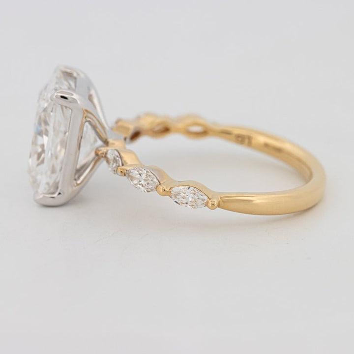 The "Anaïs" Solitaire (LG) - ZIZOV DIAMONDS