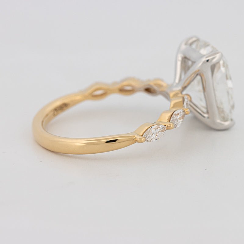 The "Anaïs" Solitaire (LG) - ZIZOV DIAMONDS