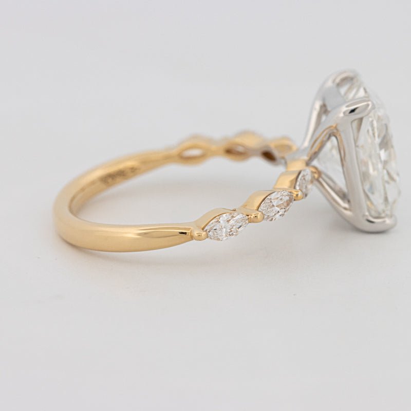 The "Anaïs" Solitaire (LG) - ZIZOV DIAMONDS