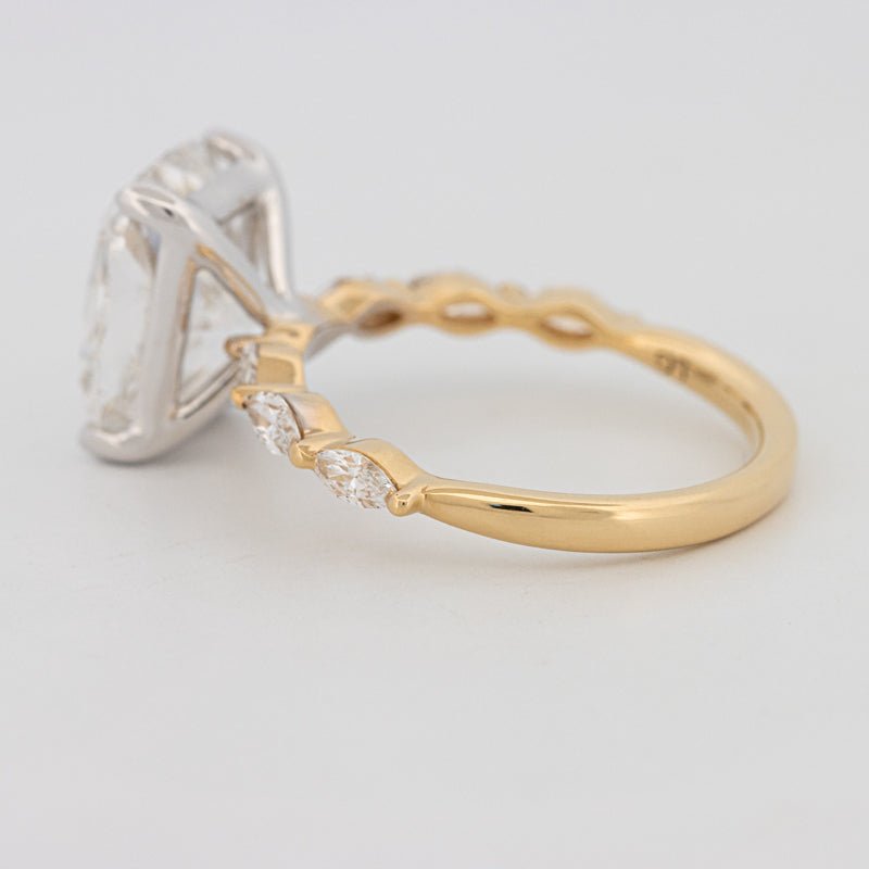 The "Anaïs" Solitaire (LG) - ZIZOV DIAMONDS