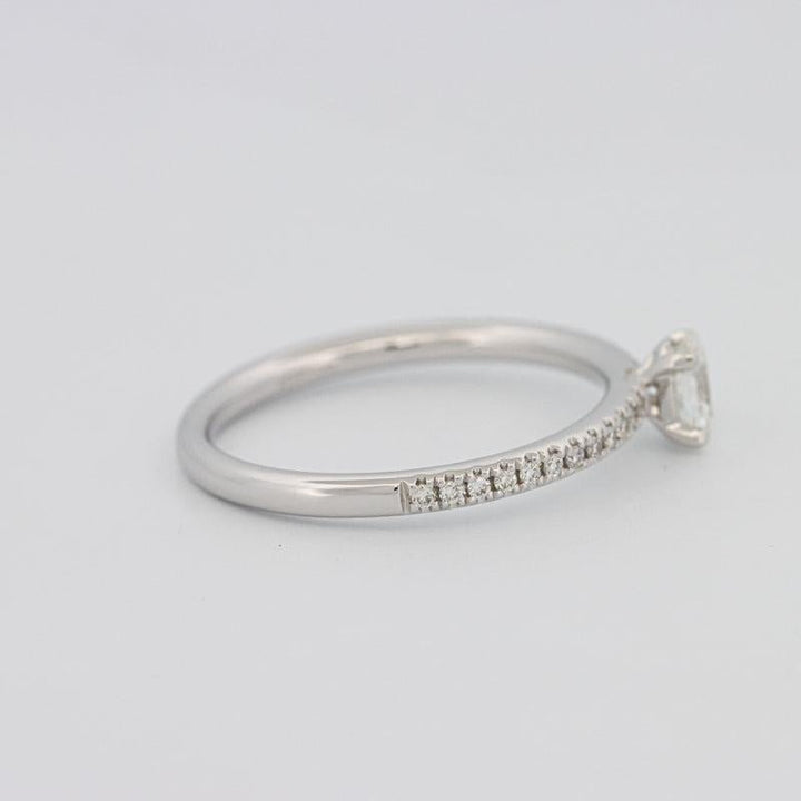 0.20 CT Oval Solitaire Pavé Ring - ZIZOV DIAMONDS