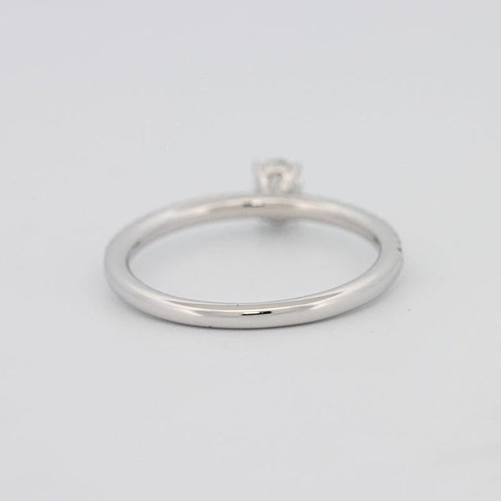 0.20 CT Oval Solitaire Pavé Ring - ZIZOV DIAMONDS