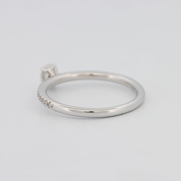 0.20 CT Oval Solitaire Pavé Ring - ZIZOV DIAMONDS