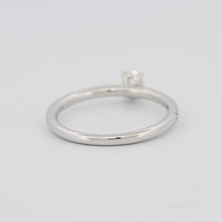 0.20 CT Oval Solitaire Pavé Ring - ZIZOV DIAMONDS