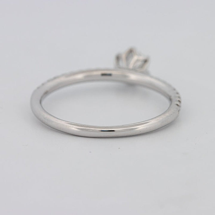 0.30 CT Round Solitaire Pavé Ring - ZIZOV DIAMONDS