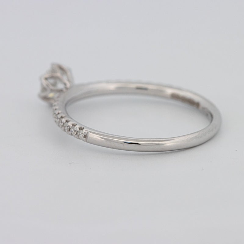 0.30 CT Round Solitaire Pavé Ring - ZIZOV DIAMONDS