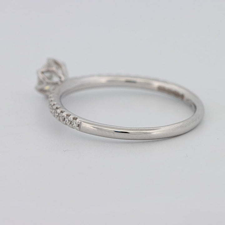 0.30 CT Round Solitaire Pavé Ring - ZIZOV DIAMONDS