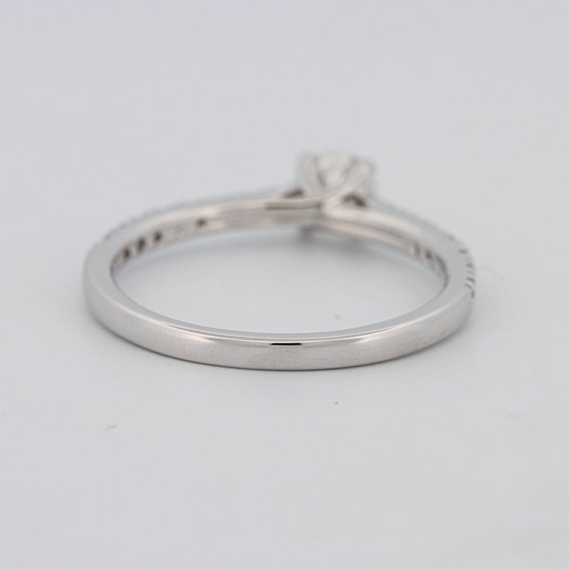 0.30 CT Round Solitaire Pavé Ring - ZIZOV DIAMONDS