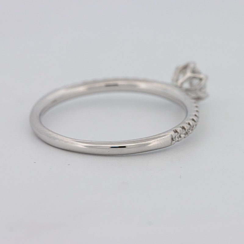 0.30 CT Round Solitaire Pavé Ring - ZIZOV DIAMONDS