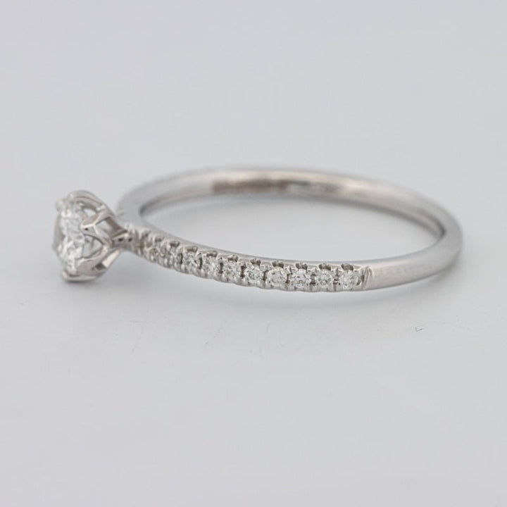 0.30 CT Round Solitaire Pavé Ring - ZIZOV DIAMONDS