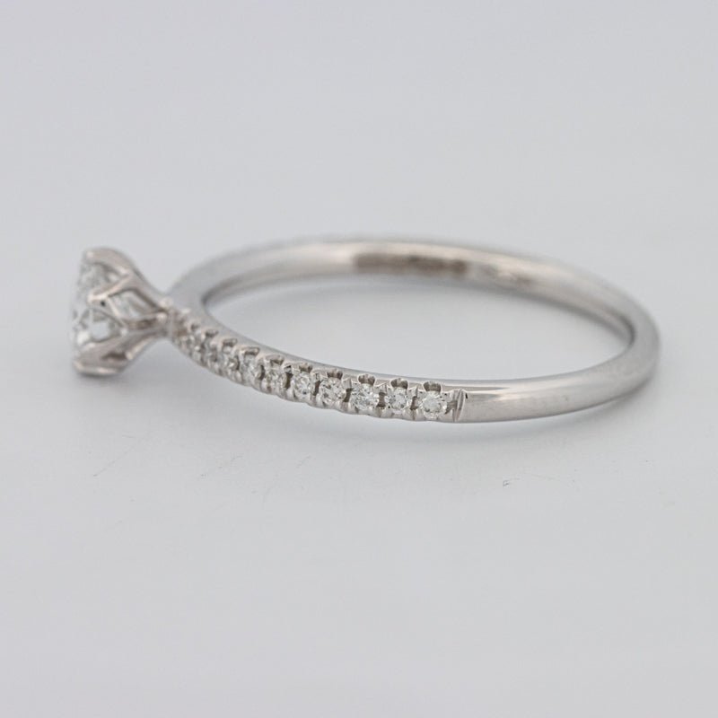 0.30 CT Round Solitaire Pavé Ring - ZIZOV DIAMONDS