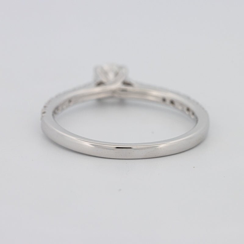 0.30 CT Round Solitaire Pavé Ring - ZIZOV DIAMONDS