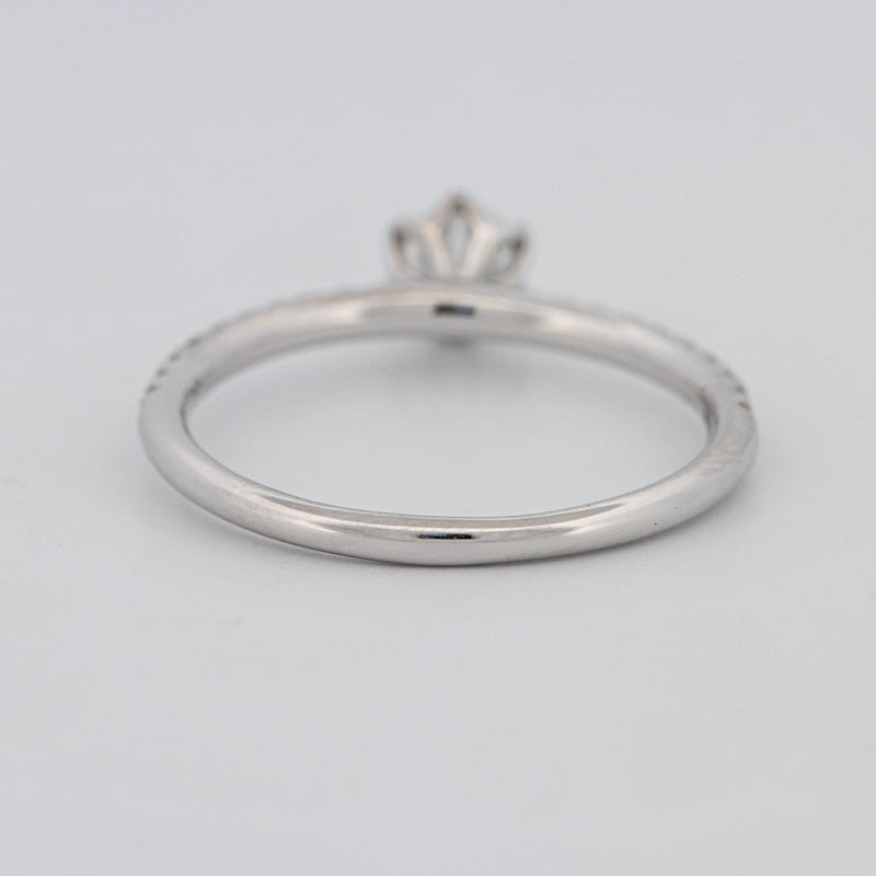 0.30 CT Round Solitaire Pavé Ring - ZIZOV DIAMONDS