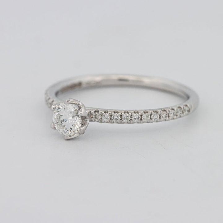 0.30 CT Round Solitaire Pavé Ring - ZIZOV DIAMONDS
