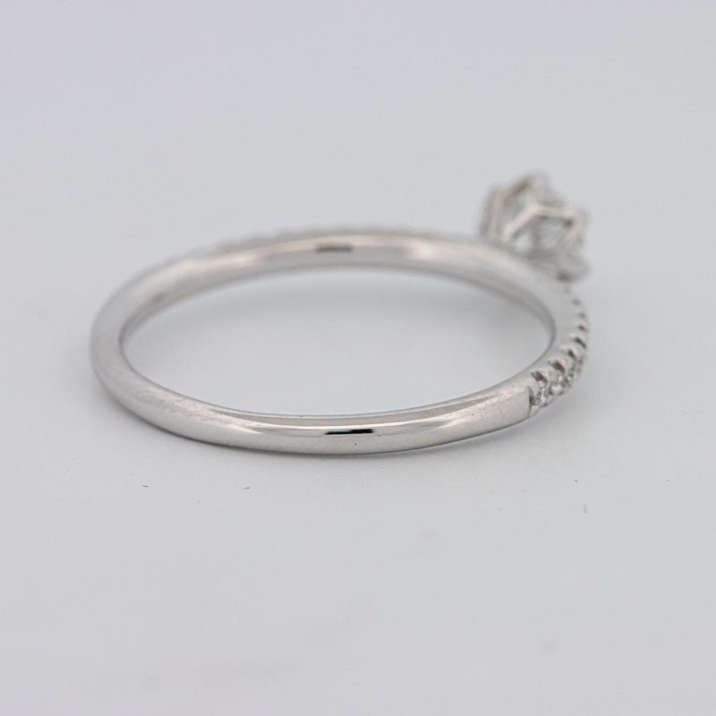 0.30 CT Round Solitaire Pavé Ring - ZIZOV DIAMONDS