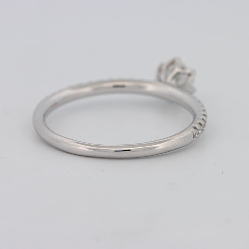 0.30 CT Round Solitaire Pavé Ring - ZIZOV DIAMONDS