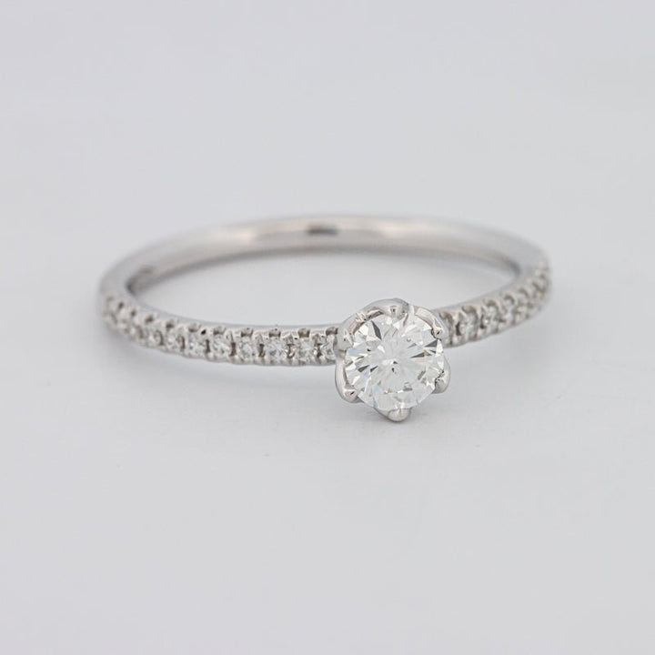 0.30 CT Round Solitaire Pavé Ring - ZIZOV DIAMONDS