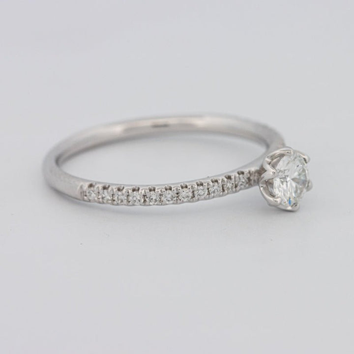 0.30 CT Round Solitaire Pavé Ring - ZIZOV DIAMONDS