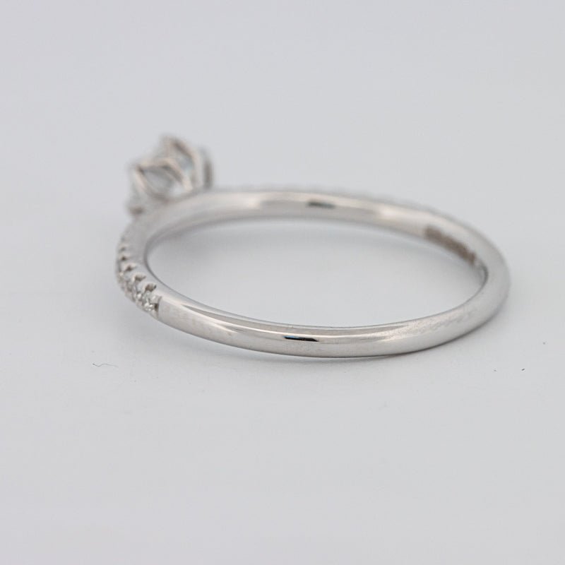 0.30 CT Round Solitaire Pavé Ring - ZIZOV DIAMONDS