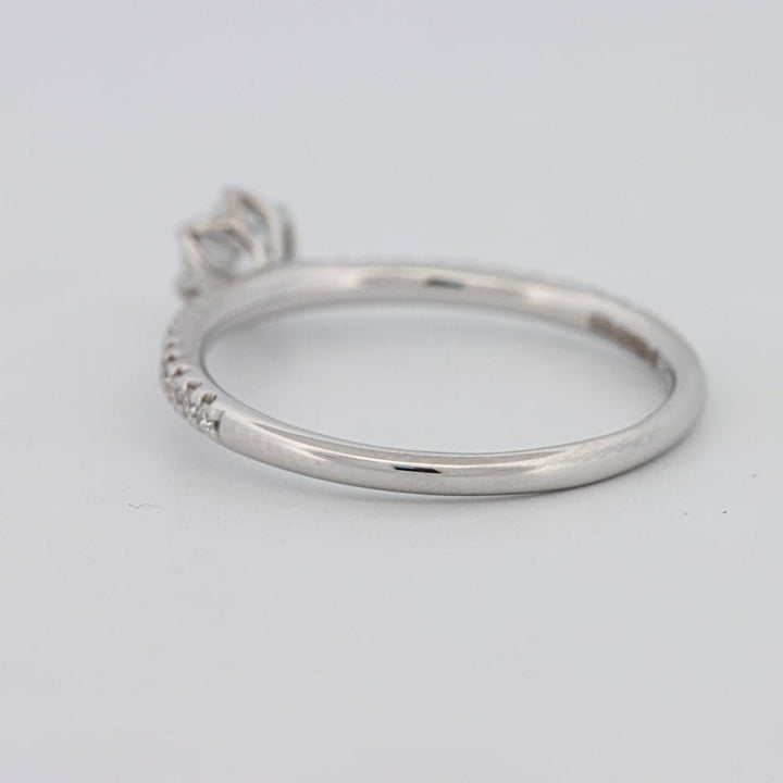 0.30 CT Round Solitaire Pavé Ring - ZIZOV DIAMONDS