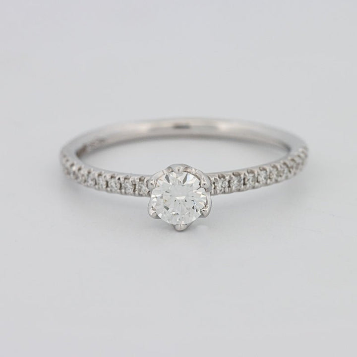 0.30 CT Round Solitaire Pavé Ring - ZIZOV DIAMONDS
