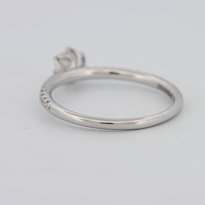 0.30 CT Round Solitaire Pavé Ring - ZIZOV DIAMONDS