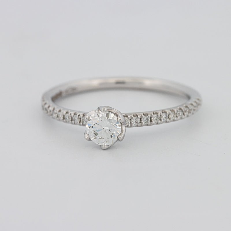 0.30 CT Round Solitaire Pavé Ring - ZIZOV DIAMONDS