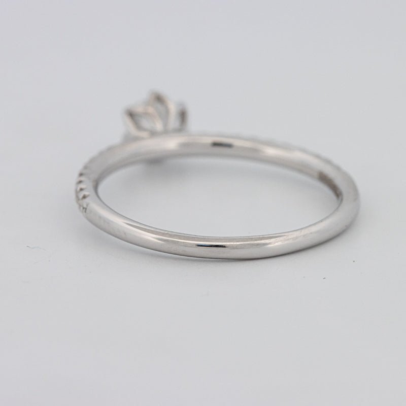 0.30 CT Round Solitaire Pavé Ring - ZIZOV DIAMONDS