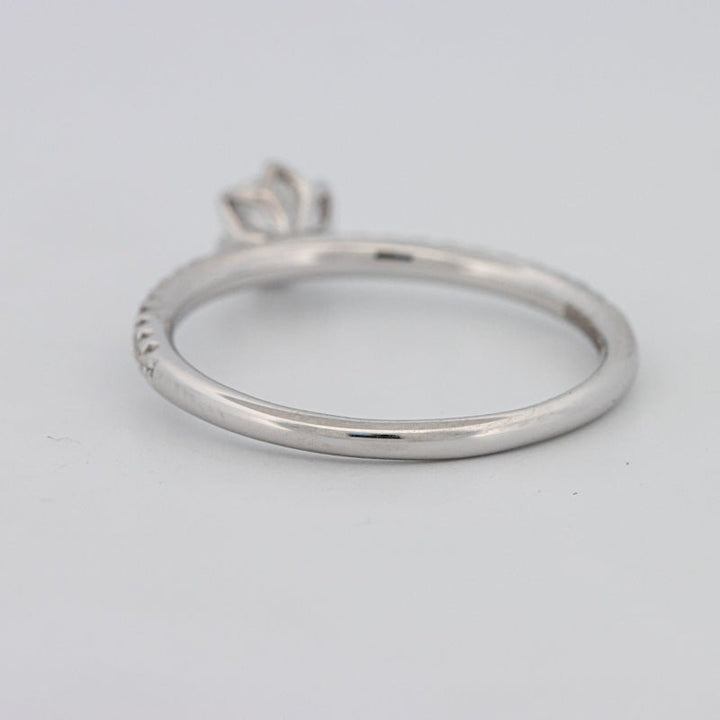 0.30 CT Round Solitaire Pavé Ring - ZIZOV DIAMONDS