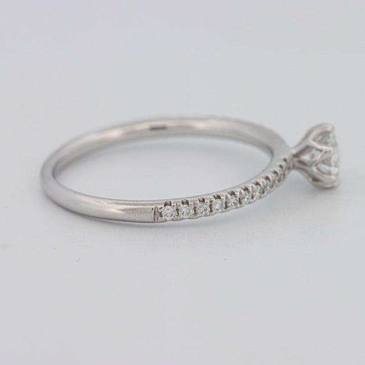 0.30 CT Round Solitaire Pavé Ring - ZIZOV DIAMONDS